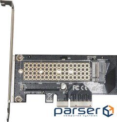 Controller Frime (ECF-PCIEtoSSD003.LP) PCI-E-M.2 (M Key) NVMe